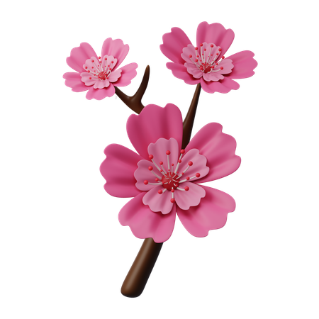 Fleur de cerisier  3D Icon