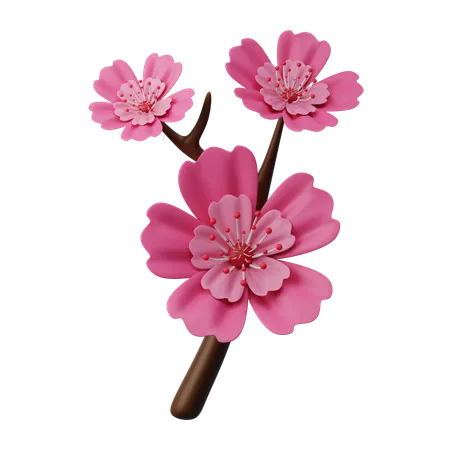 Fleur de cerisier  3D Icon