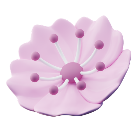 Fleur de cerisier  3D Icon