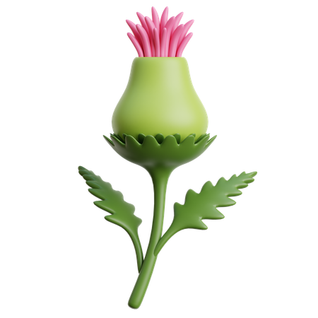 Fleur de chardon  3D Icon