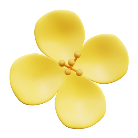 Fleur de colza  3D Icon