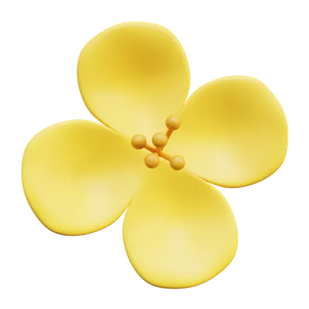 Fleur de colza  3D Icon
