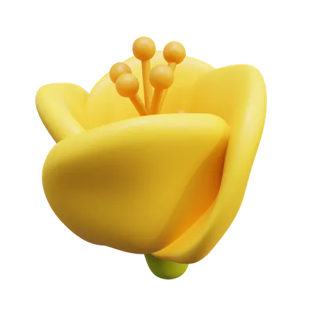 Fleur de colza  3D Icon