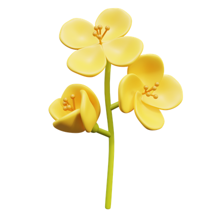 Fleur de colza  3D Icon