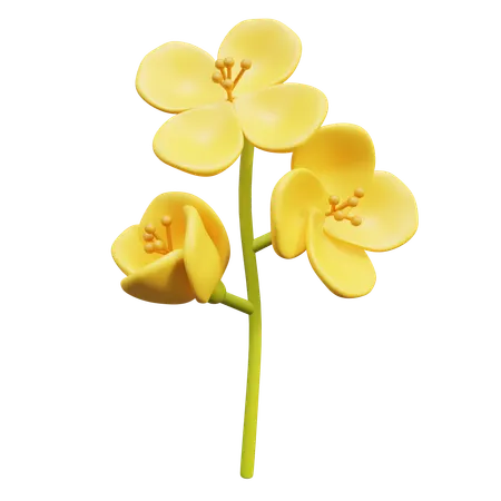 Fleur de colza  3D Icon