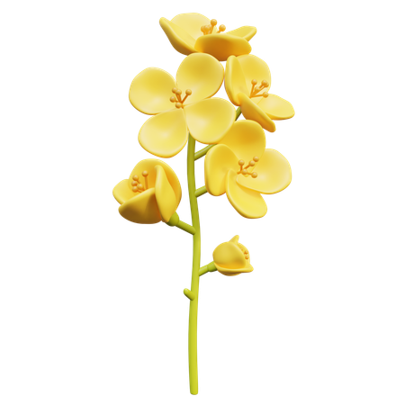 Fleur de colza  3D Icon