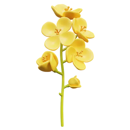 Fleur de colza  3D Icon