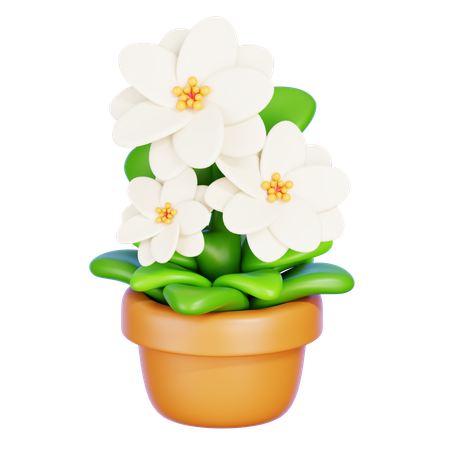 Fleur de jasmin  3D Icon