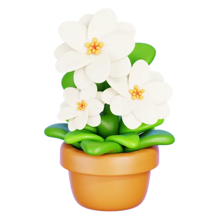 Fleur de jasmin  3D Icon