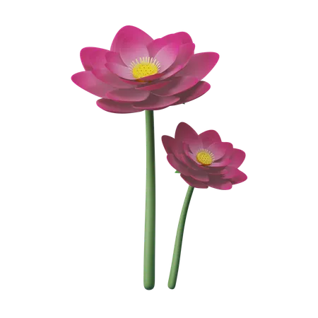 Fleur de lotus  3D Icon