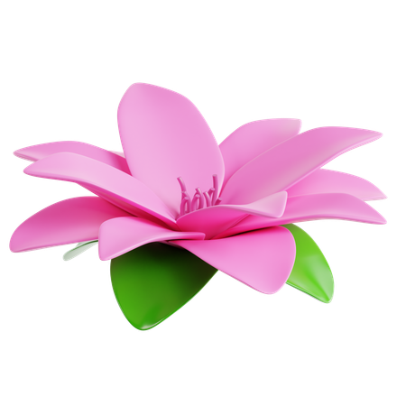 Fleur de lotus  3D Icon