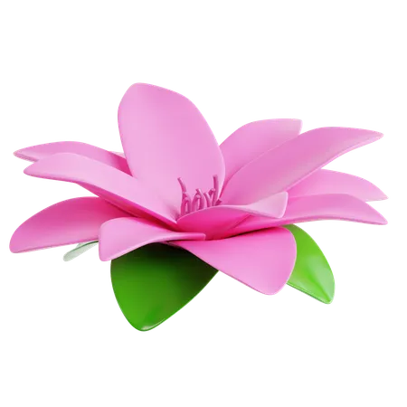 Fleur de lotus  3D Icon