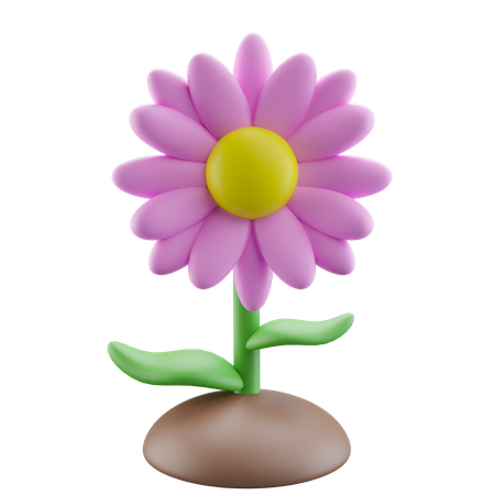 Fleur de marguerite rose  3D Icon