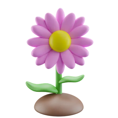 Fleur de marguerite rose  3D Icon