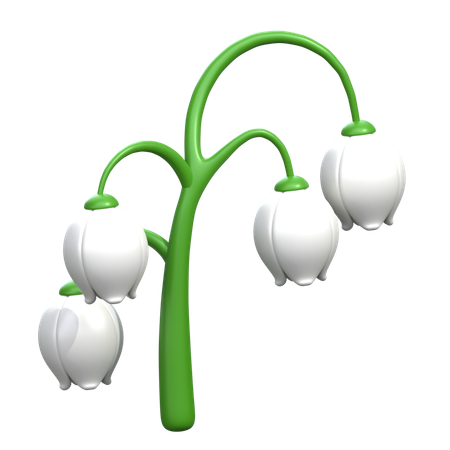 Fleur de muguet  3D Icon