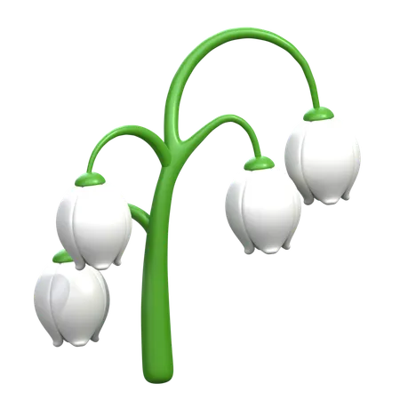 Fleur de muguet  3D Icon