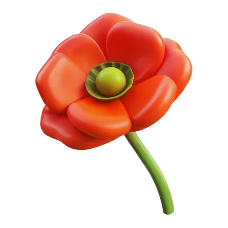 Coquelicot  3D Icon