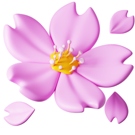 Fleur de sakura  3D Icon