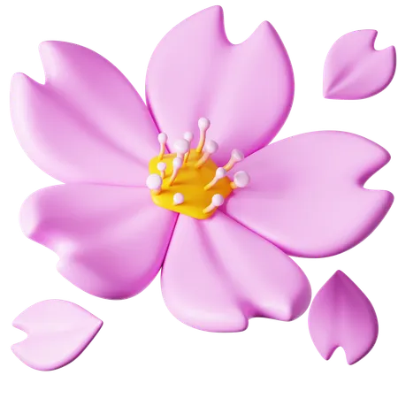 Fleur de sakura  3D Icon