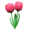 fleur de tulipe