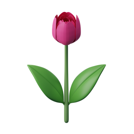 Fleur de tulipe  3D Icon