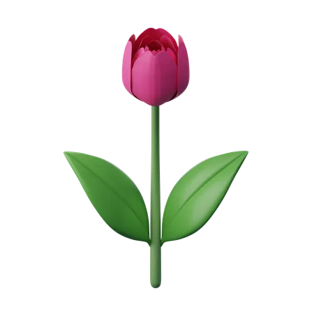 Fleur de tulipe  3D Icon