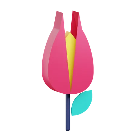 Fleur de tulipe  3D Icon