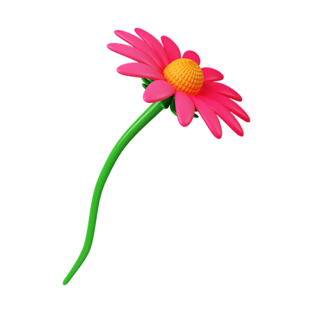 Fleur d'échinacée  3D Icon