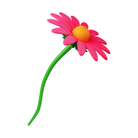 Fleur d'échinacée  3D Icon