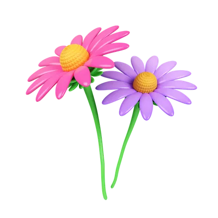 Fleur d'échinacée rose et violette  3D Icon