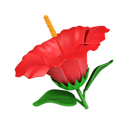 Fleur d'hibiscus  3D Icon