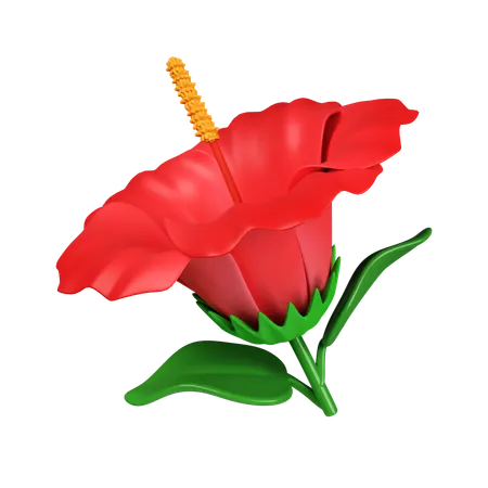 Fleur d'hibiscus  3D Icon