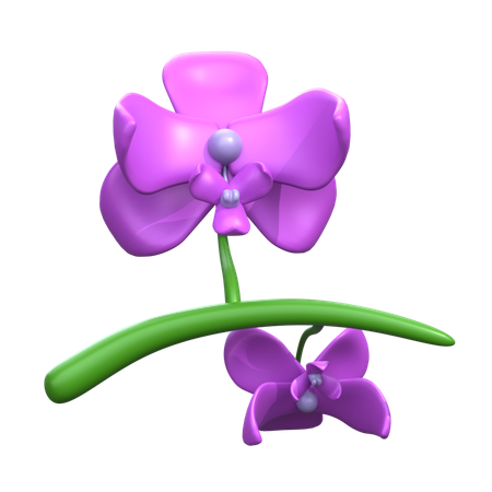 Fleur orchidée  3D Icon