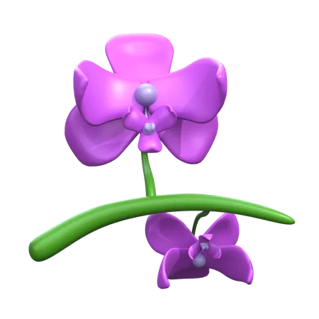 Fleur orchidée  3D Icon