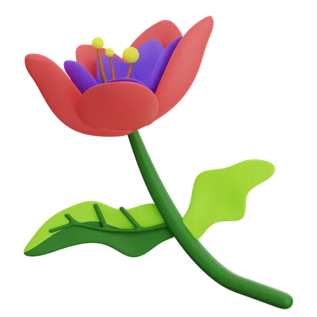 Forme abstraite de fleur  3D Icon