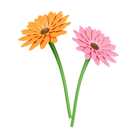 Fleur orange et rose  3D Icon