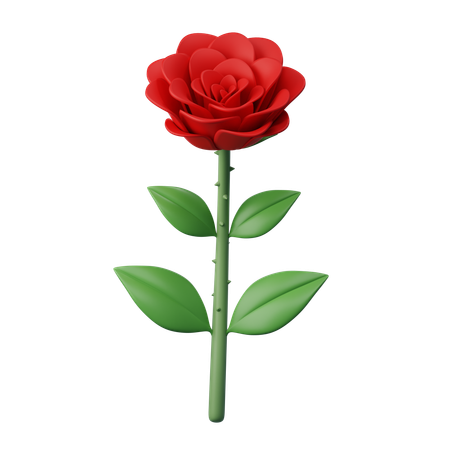 Une rose  3D Icon