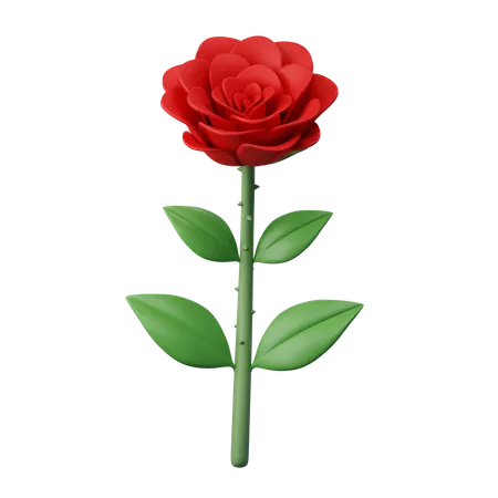 Une rose  3D Icon