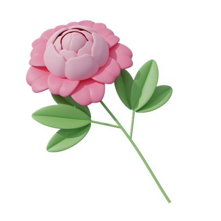 Fleur rose  3D Icon