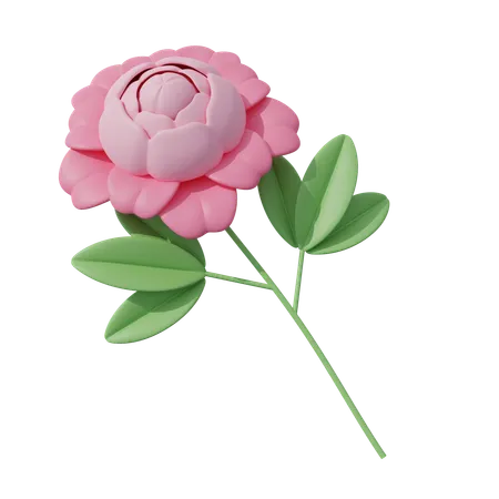 Fleur rose  3D Icon