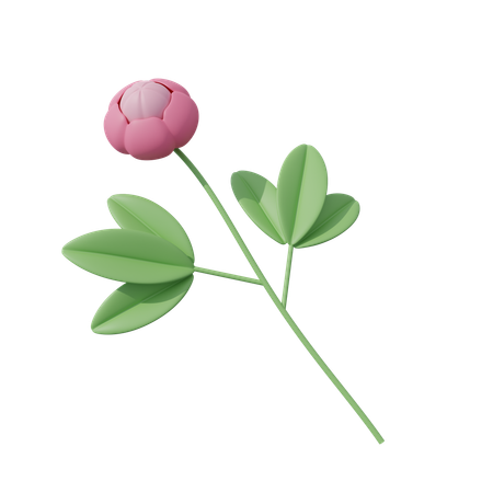 Fleur rose  3D Icon