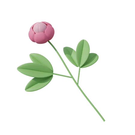 Fleur rose  3D Icon