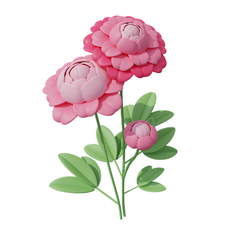 Fleur rose  3D Icon