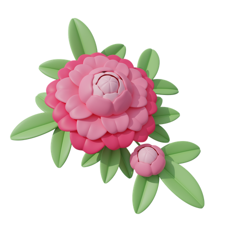 Fleur rose  3D Icon