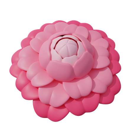 Fleur rose  3D Icon