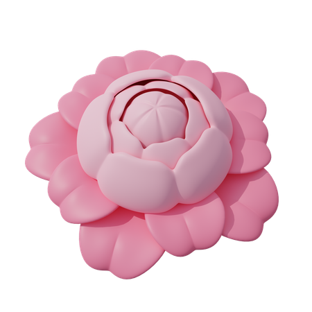 Fleur rose  3D Icon