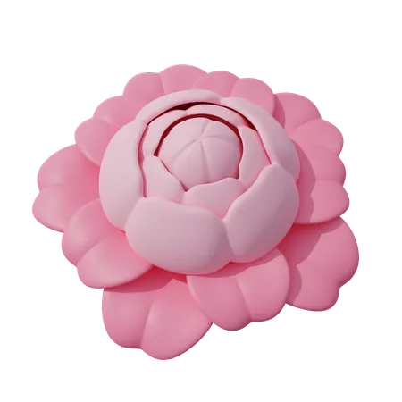 Fleur rose  3D Icon