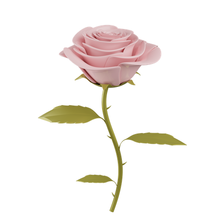 Une rose  3D Illustration