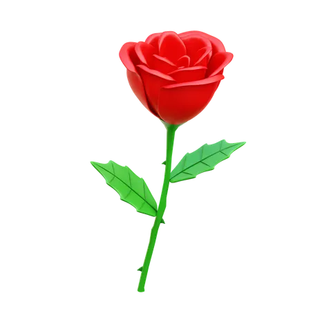 Une rose  3D Icon