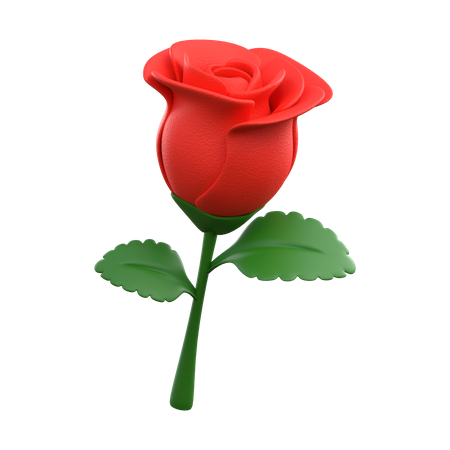 Fleur rose rouge  3D Icon